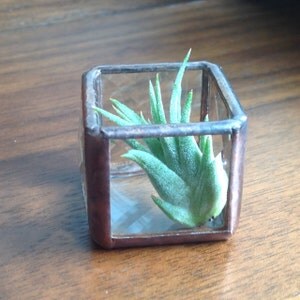 Buyer photo Amy Graham, who reviewed this item with the Etsy app for iPhone.