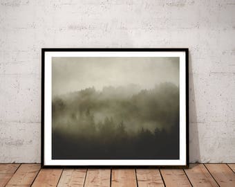 redwood photography art print / black white sepia large wall art / nature foggy forest landscape photo print / "redwood morning mist"