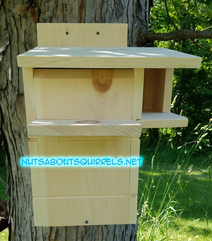 Squirrel Nesting Box