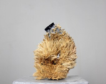 vase papier mache white black coral handmade modern wood home decor design recycle art houseware greek unique
