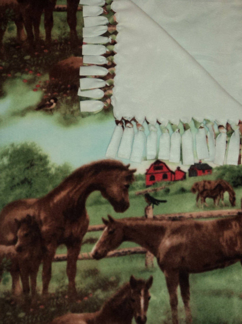 Blanket Mares and Colts Horses at the Farm Double Sided