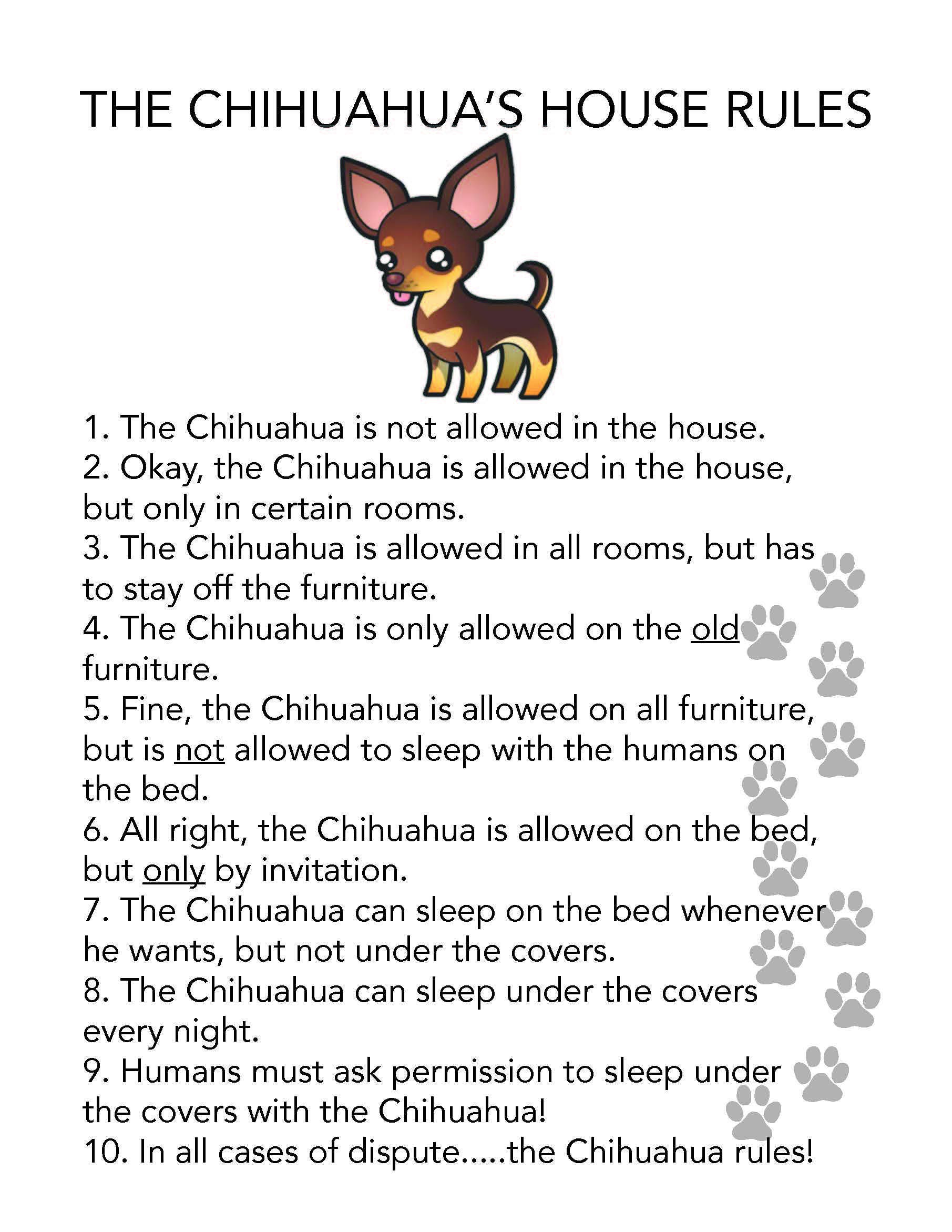 Chihuahua House Rules Photo
