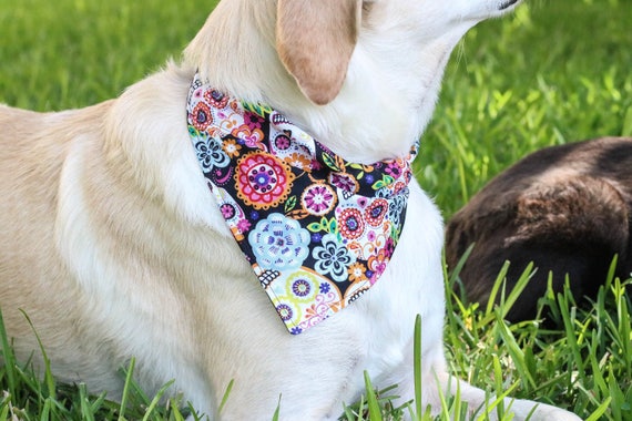 Sugar skull Dia De Los Muertos Dog Bandana Bandana Pet