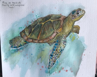 Baby Sea Turtle Watercolor print 12 x 12 inches by