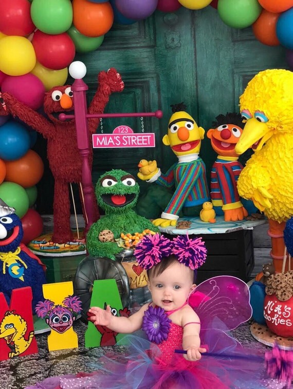 Personalized Sesame Street Sign in PINK or PURPLE Il_570xn