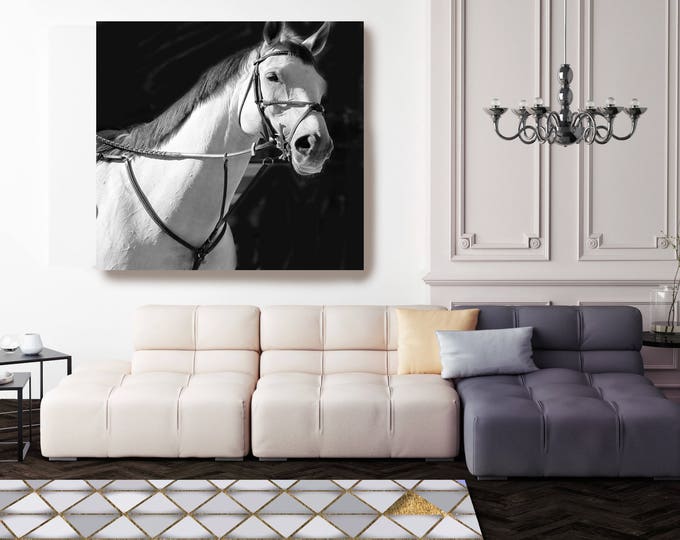 White Horse 2. Large Horse, Unique Horse Wall Decor, White Black Horse Photography, Large Contemporary Canvas Print up to 48" by Irena Orlov