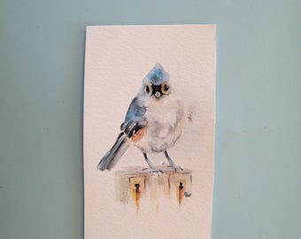 Titmouse watercolor, original painting, miniature art, titmouse aceo, small bird wall art, little titmouse art, garden bird, blue bird