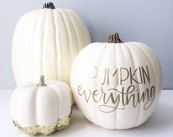 Calligraphy Pumpkin, Hand Lettered Pumpkin, Fall Decor, Fall Pumpkin, Pumpkin Decor, White Pumpkin Decor, Pumpkin Everything, Thanksgiving