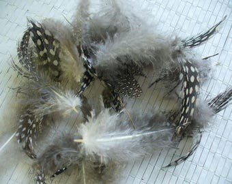 12 real feathers for various confections PIN 101