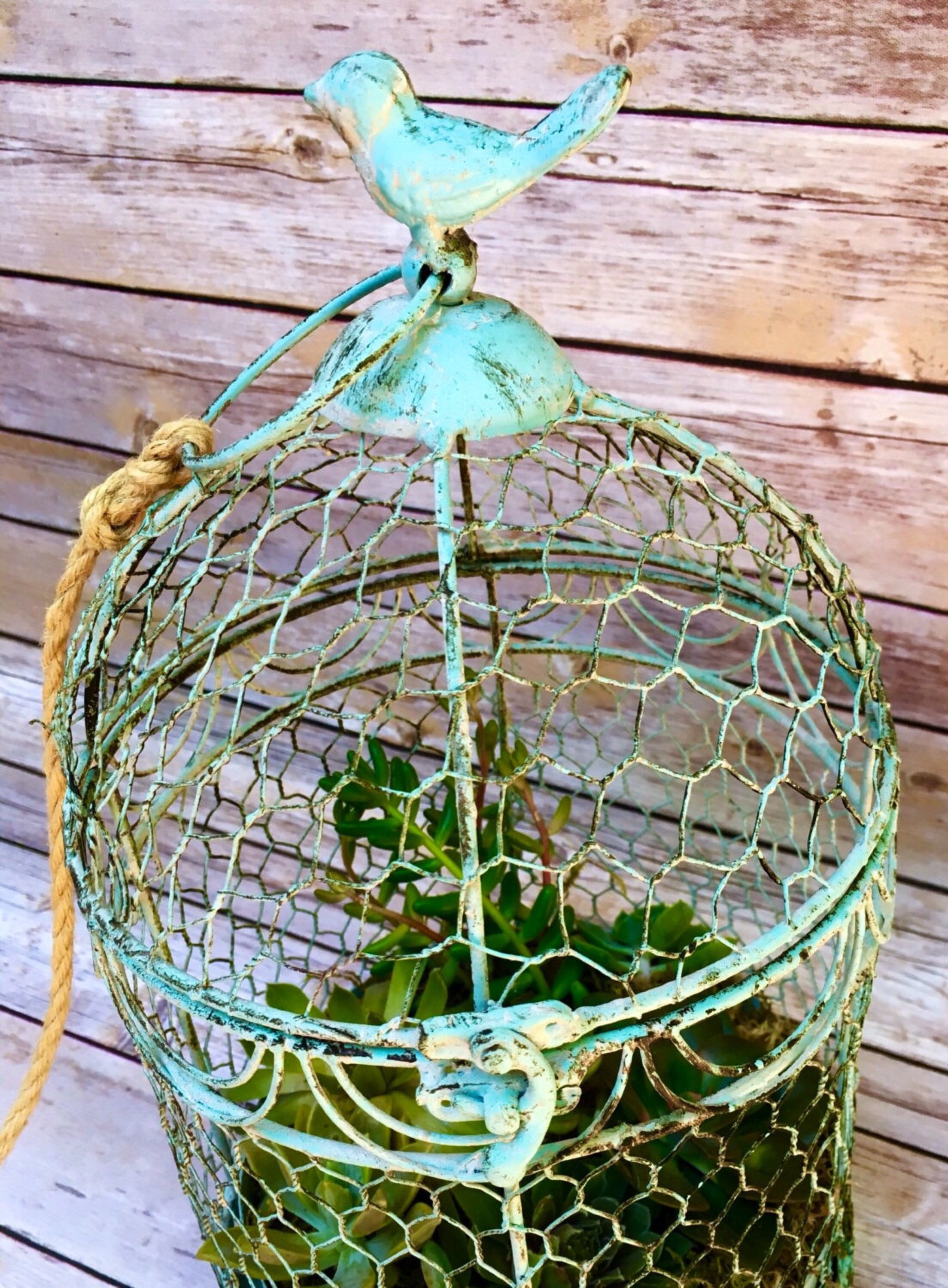 Rustic Birdcage planter/ bird cage/Hanging planter/ succulent