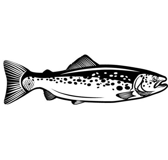 Free Free 198 Fly Fishing Lure Svg SVG PNG EPS DXF File