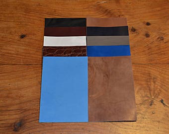 10 coupons from genuine cowhide leather (8738737)