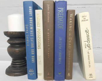 Blue and Brown Decorative Book Set