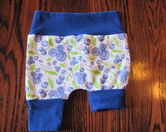 Short rolling cornflower blue with royal blue accent