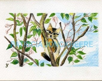 Ginger tabby kitten in a lilac