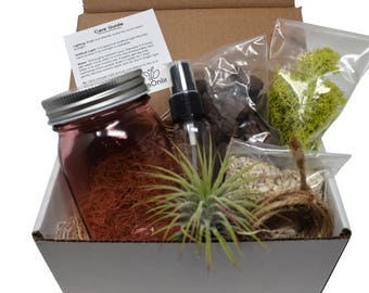 8pcs DIY Air Plant Terrarium Kit / Gift Box / Pink Mason Jar / Air Plant / Coral Sand / Moss / Home Decor / Gifts / DIY Project