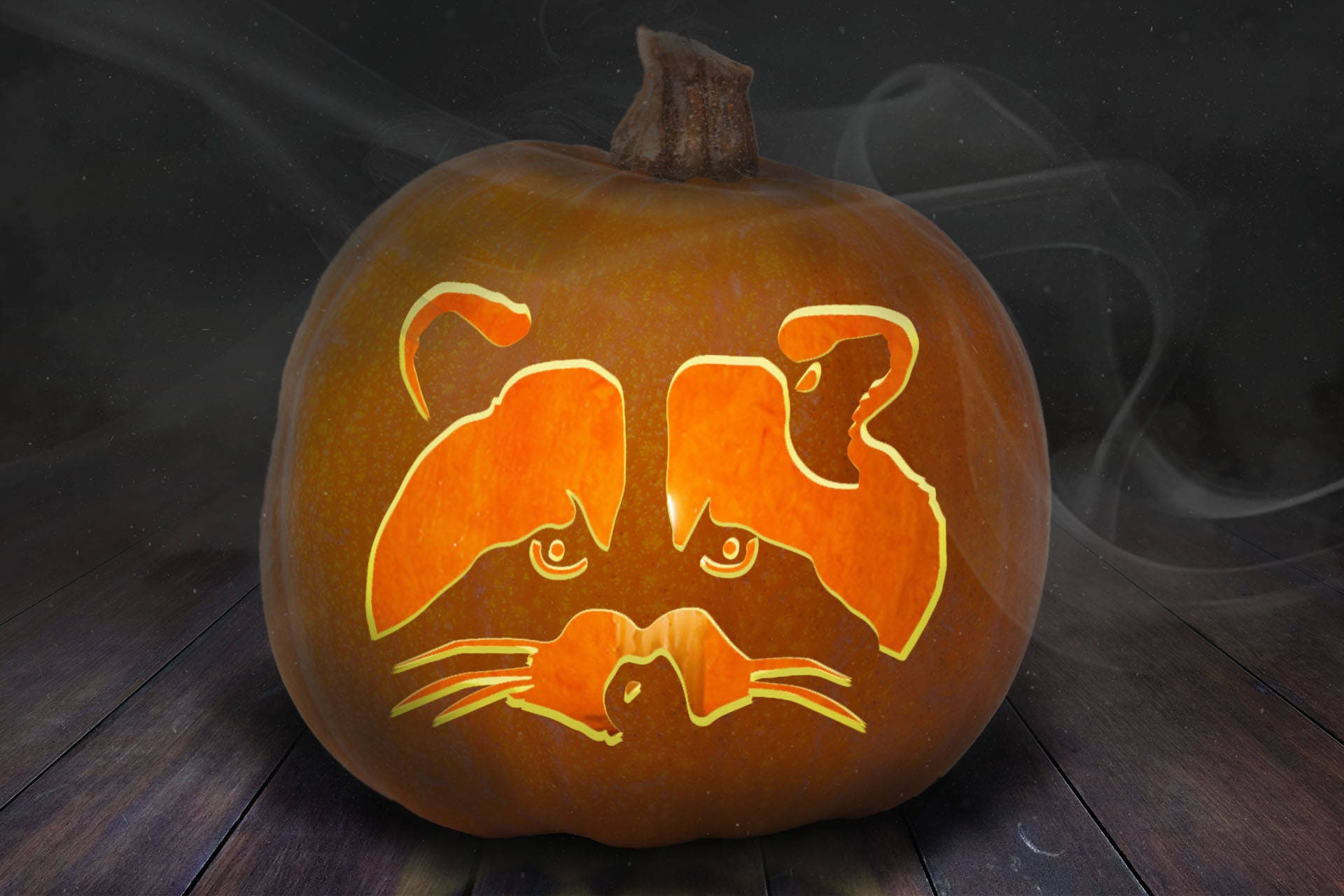 Raccoon Pumpkin Carving Stencil Printable