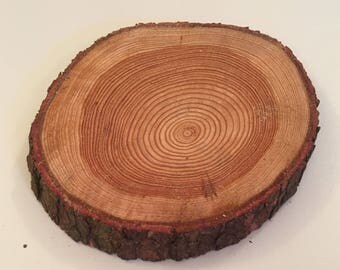 35 40cm Log Slices Wedding Table Centre Piece Rustic Cake Stand Natural Tree Blanks 35 40cm Log Slices Wedding Table Centre Piece Rustic Cake Stand Natural Tree Blanks