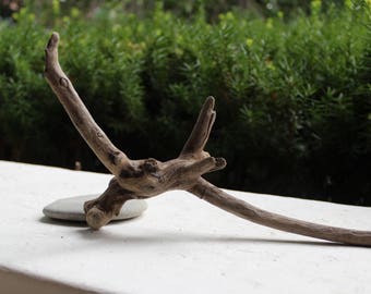 One of a Kind 11" Driftwood Piece , sculpture , Beach Art , Natural Drift Wood Decoration