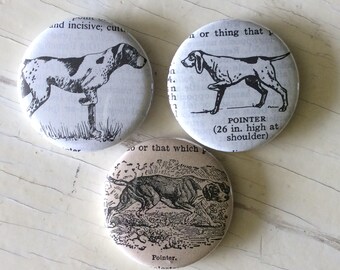 Pointer Vintage Dictionary Illustration Magnet Set of 3