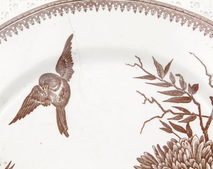 Antique French Plate Bird and Flower Pattern in Chocolate Brown on White Glaze by FF Pexonne Badionviller, Victorian Plate from France, 1880 Antique French Plate Bird and Flower Pattern in Chocolate Brown on White Glaze by FF Pexonne Badionviller, Victorian Plate from France, 1880