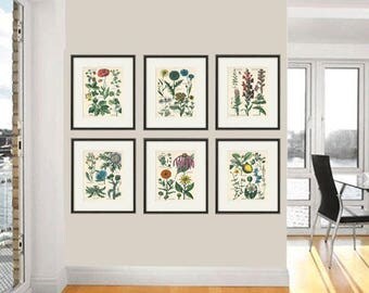 Vintage and Antique Art Prints by VictorianWallArt