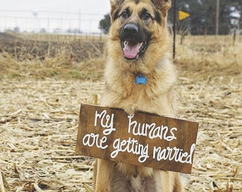 Dog engagement sign, my humans are getting married, Wedding Sign For Pet, Dog Ring Bearer, Dog Wedding Sign, Dog photo prop wood sign