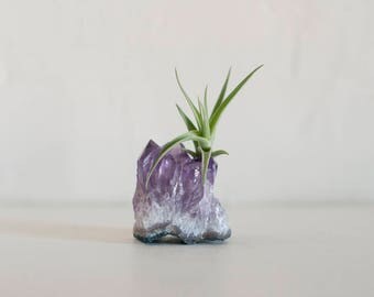 Amethyst Crystal Terrarium, Air Plant Crystal Garden, Office Desk Accessories, Mini Plants, Coworker Gift, Boho Decor, Best Friend Gift