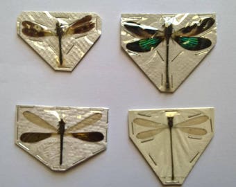 UNMOUNTED 4 x Odonata Mix - Taxidermy - Ready to spread