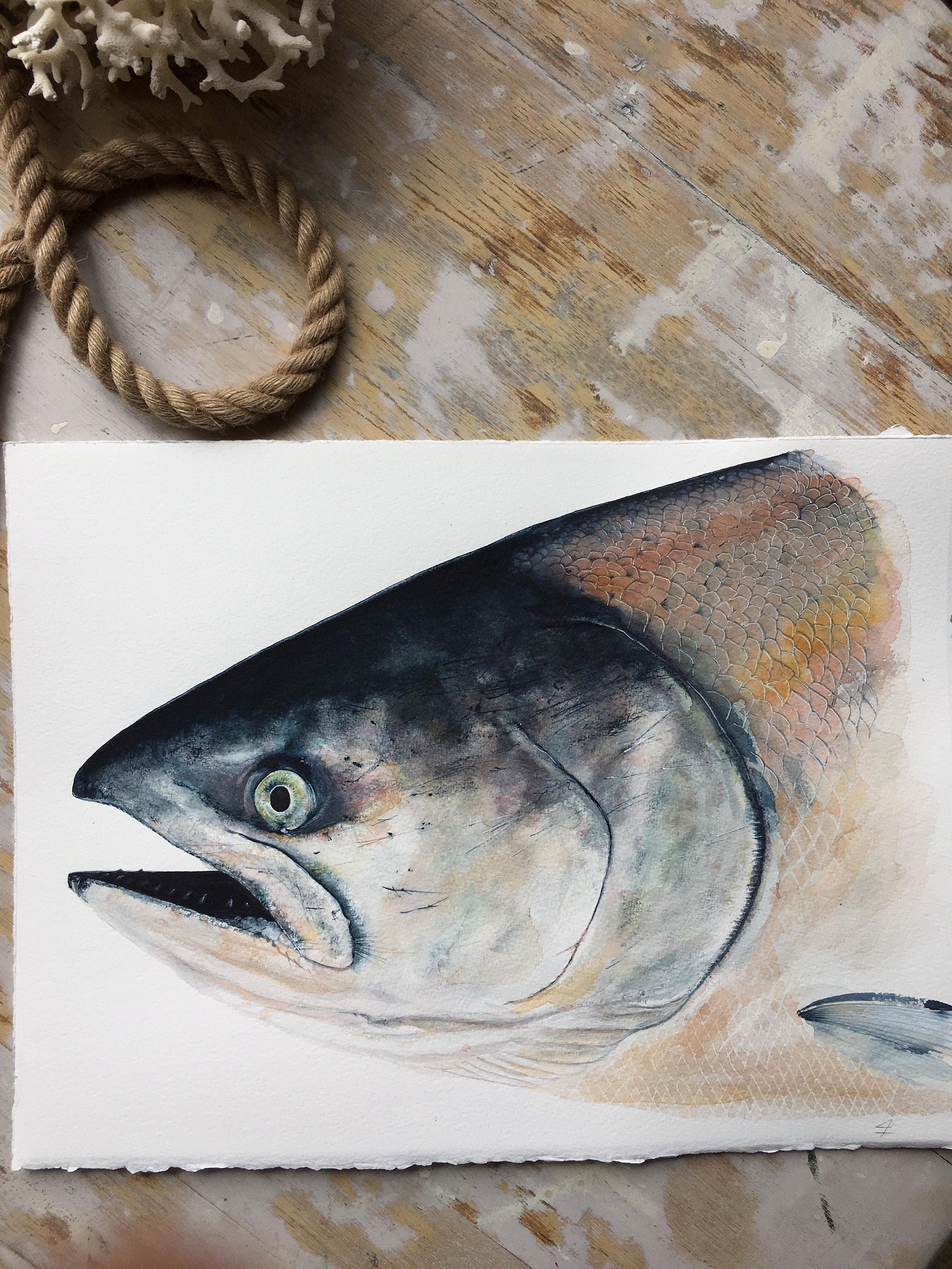 Original Watercolor Painting Of A King Salmon Portrait Nautical throughout Salmon Fishing Home Decor