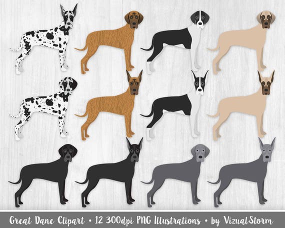 Great Dane Clipart Large Dog Breeds Great Danes Harlequin