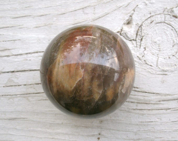 Petrified Wood Polished Sphere, Natural, agatized wood, petrified wood, 52mm. 2 onches, 175g, 6.2 oz, clear Quartz veins, gift, display