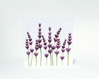 Lavender greetings card for Birthday, Invitations, Thank you, Friends, Family, Colleague
