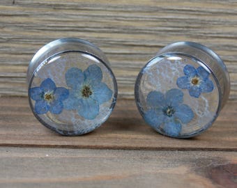 Forget Me Not Lace Plugs Real Flower Plugs Pair Natural Flowers Resin Double Flare Single Flare Spring Summer Unique Custom Nature Gauge