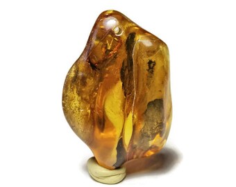 P71 / natural amber pendant