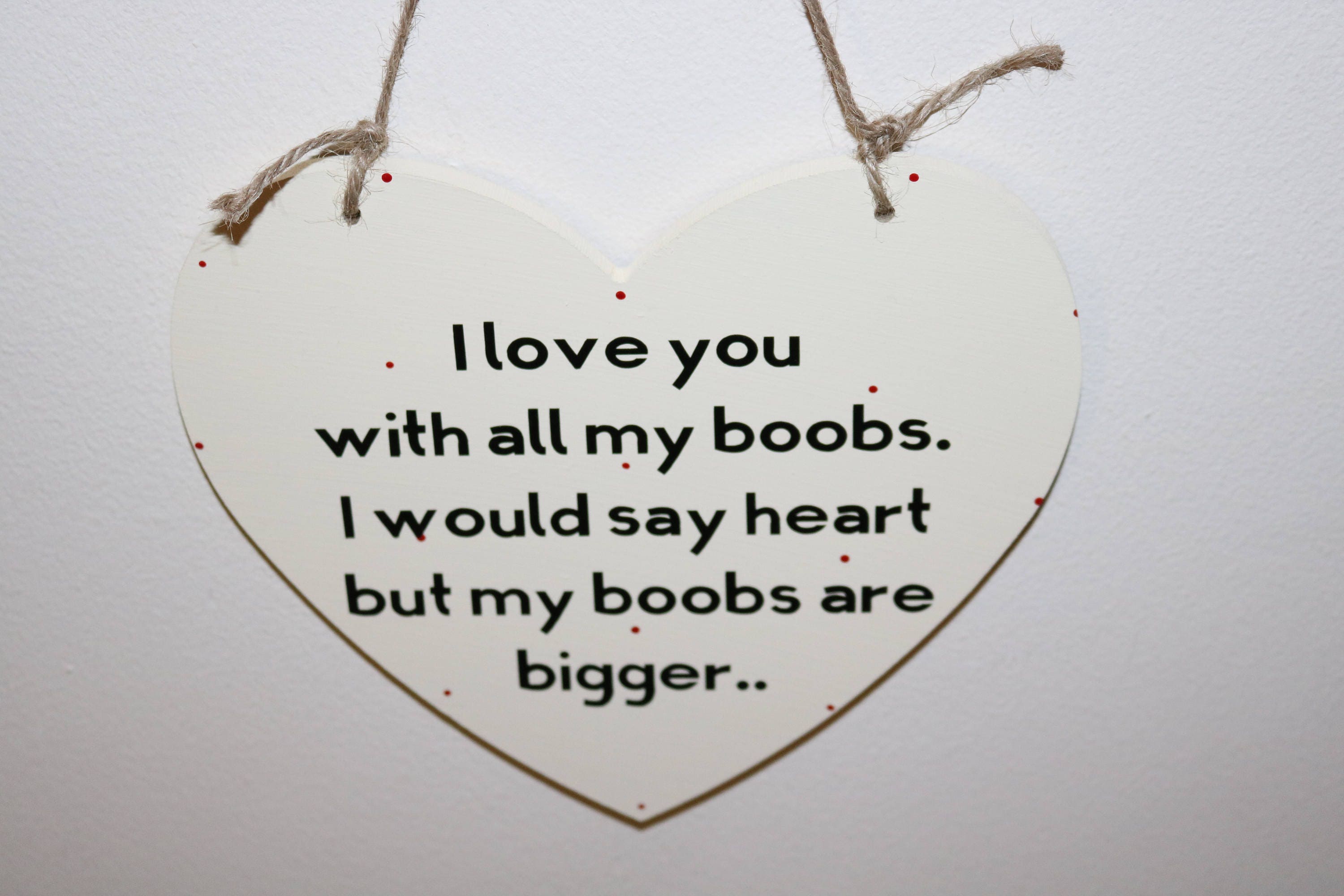 I Love You With All My Boobs Wooden Sign Valentines T 