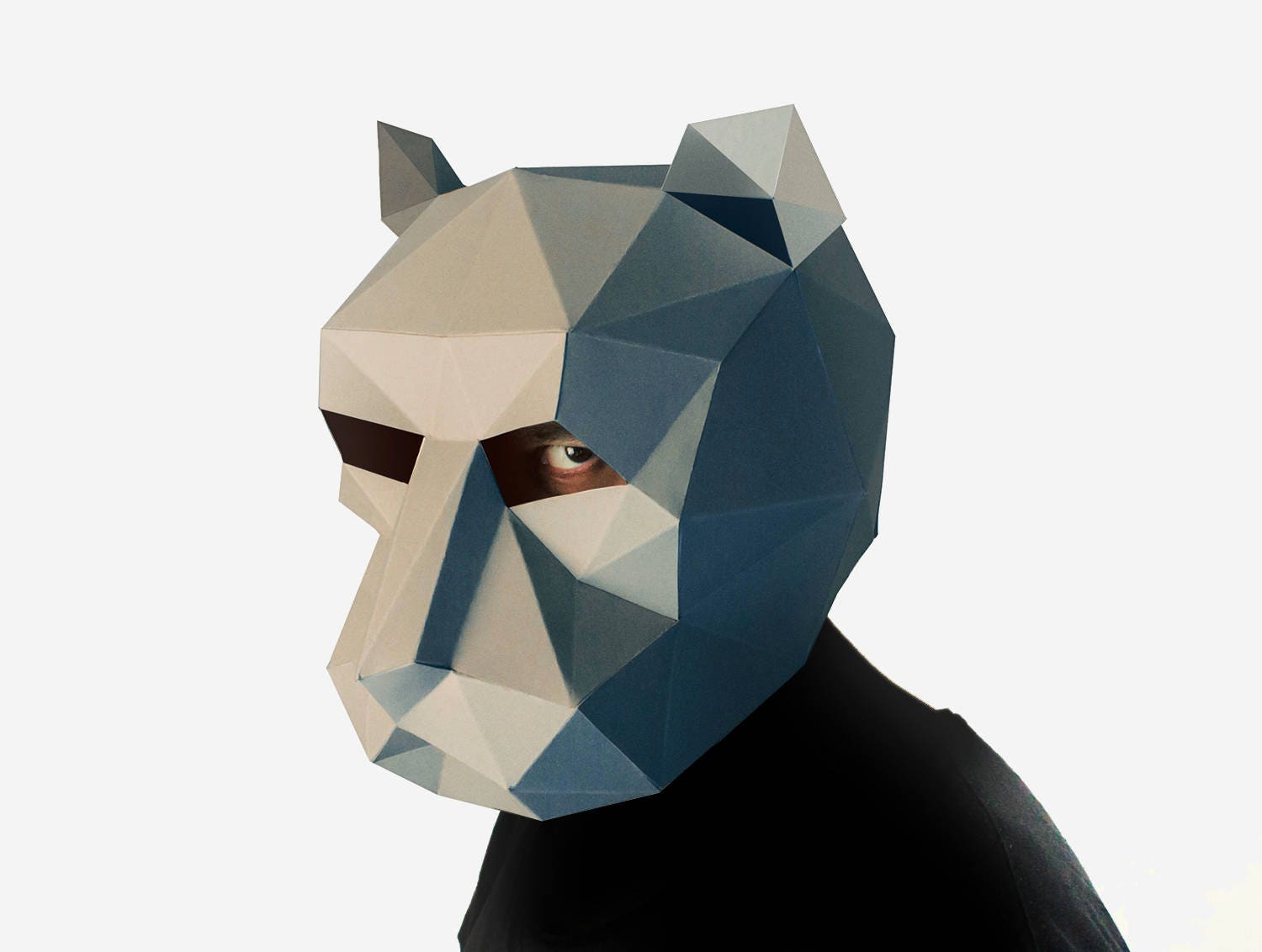 Puma Mask Cougar Mask DIY Printable Animal Mask Instant
