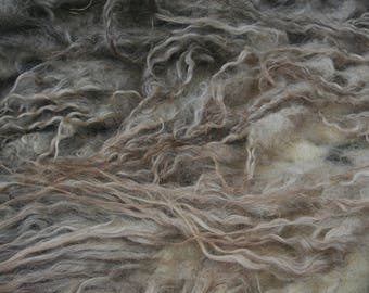 Spelsau raw fleece 2.62kg/5.78lb