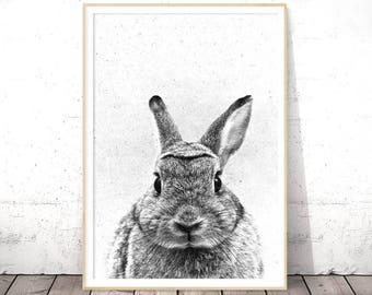 Nursery Rabbit Print, Rabbit Baby Nursery, Rabbit Print Decor, Printable Rabbit Art, Rabbit Photo, Nursery Wall Art, Rabbit Poster, Bunny