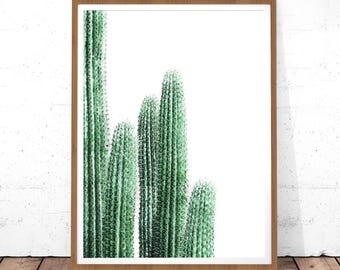 Cactus Art, Cactus Wall Print, Botanical Print, Cactus Poster, Printable Art, Cactus Photo, Cactus Wall Art, Botanical Poster, Digital Print