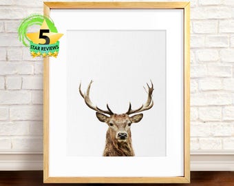Baby Deer Print, Deer Print, Nursery Printable, Baby Deer Fawn, Baby Animal Print, Baby Shower Gift, Woodlands Print, Baby Room Digital Art