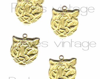 5 pendants / charms Tiger gold raw brass