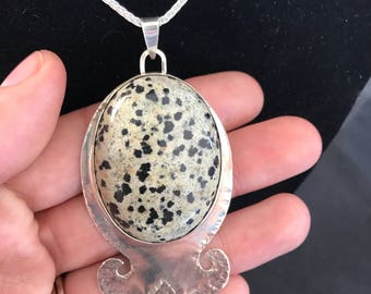 jasper dalmatian
