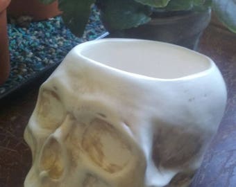 Ceramic Skull Planter, Skull Planter Large Size, Indoor Plant Pot, Human Skull Planter, Cactus Planter Gift, Air plant Terrarium, Cactus Pot