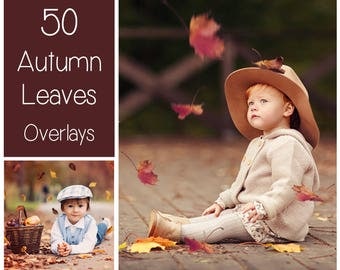 50 Autumn Leaves Overlays - PNG - Transparent Background - Leaves Clip Art - Fall Overlay - Red - Gold - Brown - Linden - Maple - Birch