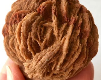 Selenite, Desert ROSE PETALS! Sand Rose, Morocco Rocks, Minerals and Crystals / 165g
