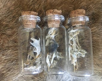 Small Animal Bone Bottles