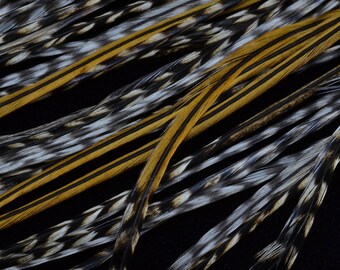 feathers of Rooster feathers hair extension