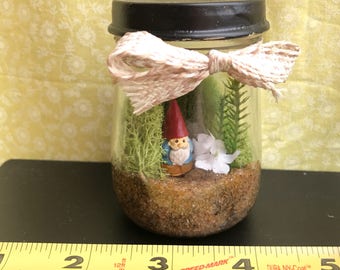 Minature Gnome Garden Terrarium