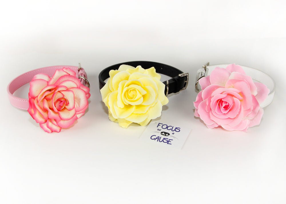 BIG 4 Rose Dog Collar Flower Wedding Collar Accessory